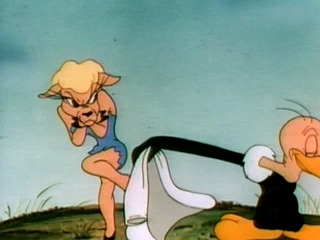 merrie melodies the bashful buzzard